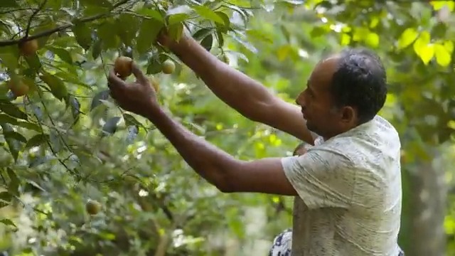 Amazon.com : Frontier Co-op Vegetarian Broth Powder, 1lb - Vegan