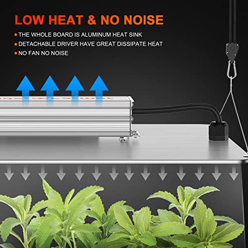 2023 Newest Spider Farmer Sf1000 Led Grow Light With Samsung Lm301B Diodes Deeper Penetration & Dimmable Full Spectrum Lights For Indoor Plants Veg Bloom Growing Lamps For 3X3/2X2 Grow Tent 2 Pack #TOP6