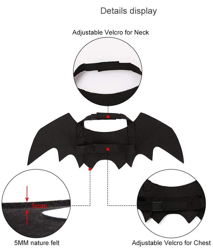 Hospital - ¡Encuentraos fácilmente 📍 Estamos listos para cuidar de tu  mascota con amor y profesionalismo 🐾 📌Visítanos en: Gardenias N°5 ,  Izcalli Ecatepec, 55030 Ecatepec de Morelos, Méx  https://goo.gl/maps/AqPxmVqreSAU34Df9 📲Escribenos al:, image size:855x1000