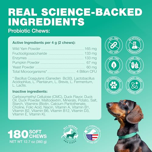 Image of Probiotics for Dogs Gut Health, Digestion, Immunity, Yeast Balance, Itchy Skin, Allergies Support - Dog Probiotic Chews with Digestive Enzymes for Gut Flora- Soft Treats with Pumpkin and Yeast Powder