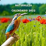  Calendario Naturaleza 2022: Con días Festivos USA  Planificador de 12 meses Enero de 2022 - Diciembre de 2022 Calendario  Regalos Para Amantes De Los Gatos