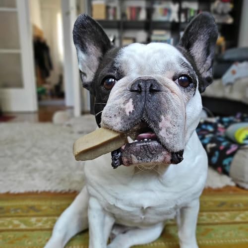 Image of Pawfect Himalayan Yak Cheese Chews for Small Dogs - 100% Natural, Long-Lasting Cheese Bone - Rich in Protein & Calcium - Daily Dental Treat- Plaque Off & Tartar Control- Pack of 3 (100g /3.53oz)