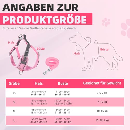 Hundegeschirr mit Hundeleine Set, Air-Mesh Atmungsaktiv Brustgeschirr für Kleine, Mittelgroße Hunde & Welpen, Weich Gepolstert Einstellbar Reflektierend Geschirr (Rosa, S)
