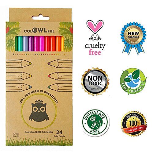 Eco Friendly Quality Artist Colored Pencils Set 24 - Soft Lead - Pre-Sharpened - Bright Assorted Eco Colored Pencils - For Kids, Classroom, Drawing, Sketching, Shading and Adult Coloring Books