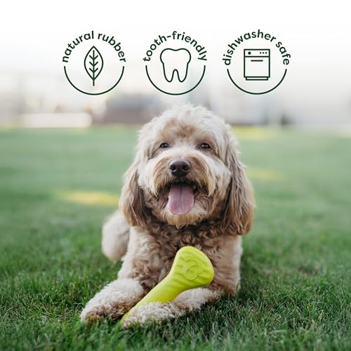 Image of Benebone 4-Pack Ball /Bone /Bacon Wishbone /Fishbone Medium