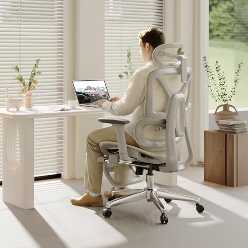 FLEXISPOT ErgoX Ergonomic Office Chair with Footrest