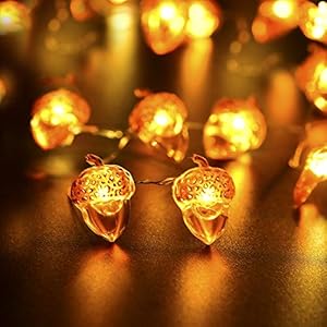 BOHON Thanksgiving Decorations Acorn Lights String 10ft 40 LEDs Fairy String Lights Battery Operated with Remote Fall Lights for Home Autumn Garland Bedroom Christmas Tree Halloween Party Decor BOHON Thanksgiving Decorations Acorn Lights String 10ft 40 LEDs Fairy String Lights Battery Operated with Remote Fall Lights for Home Autumn Garland Bedroom Christmas Tree Halloween Party Decor