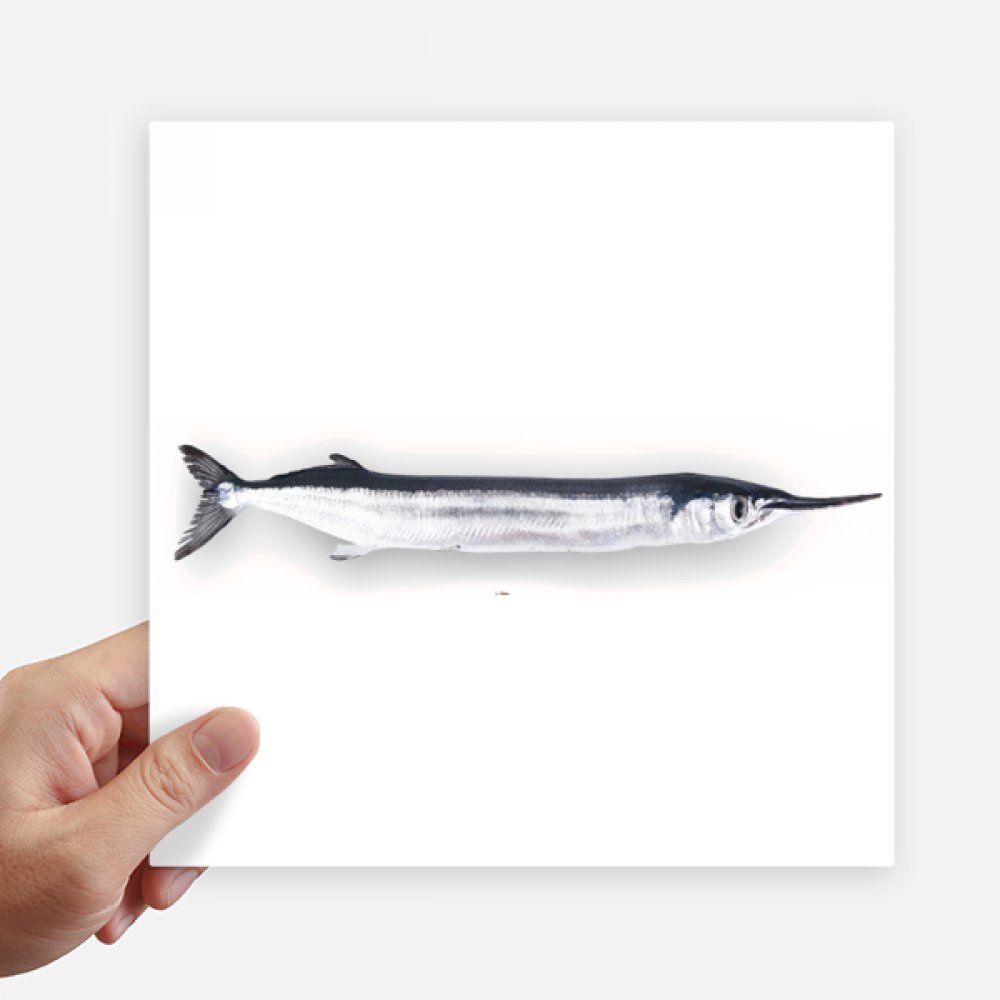 Poisson frais autocollant carré 20 cm stickers multicolores mur et moto