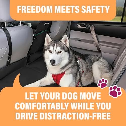 Image of Active Pets Dog Car Harness - Dog Seatbelts for Cars, Trucks, Travel - Tether Belt for Small & Large Dogs (Black, 2 Pack)