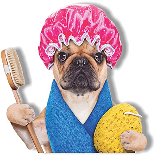 Jagvii Efforts Bathing Dog Wall Sticker | Decorative | (Multicolor, Size :- 30 Cm X 30 Cm) _Jag 183 (B09CPV12N6) Amazon Price History, Amazon Price Tracker