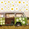 81 PCS Daisy