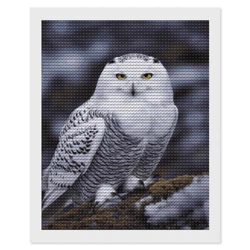 Peinture diamant hibou HEBVNJF pour un moment de détente