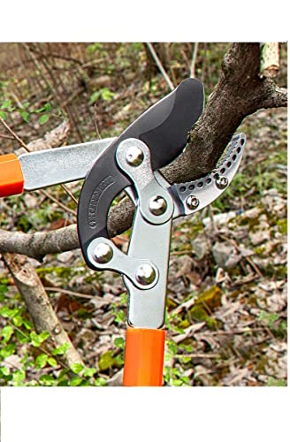 Image of SK Organic Professional Ratchet Anvil Lopper with Compound Action, Sturdy Telescopic Handles with Extra Leverage, Garden Pruning Tree Hedge Branch Cutter Garden Lopper (Rachet Looper)