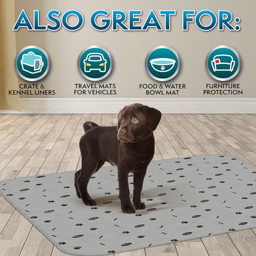 Tapis lavables pour chien Simple Solution L | Lot de 2 réutilisables - 15