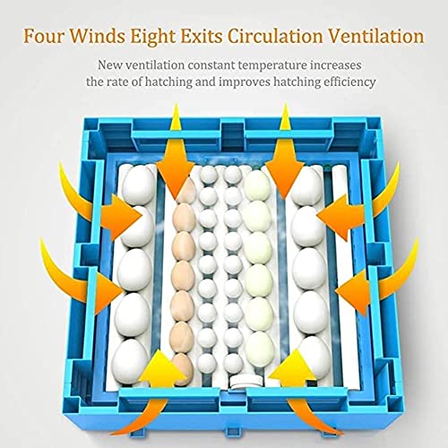 WONOOS Inkubator Brutmaschine Inkubator, Digital Automatic Hatcher Brutkasten Für Hühner, Enten, Gänse Und Tauben,Four… – Bild 5