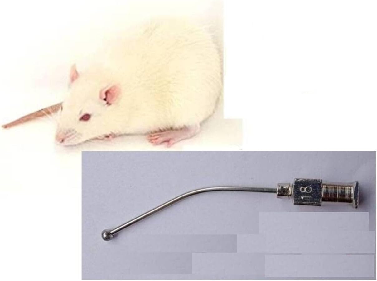 Birds' Park Rat & Mice Oral gavage Steel Reusable Needle 4 pcs Curve & Straight