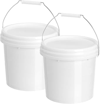 SOLUSTRE 2pcs Empty Bucket Heavy Duty Cleaner Small Bucket with Lid Container with Lid Fishing Water Pail 1.32 Gallon Bucket 5L Bucket Gallon Paint Pail Food Grade Buckets with Lids Seal