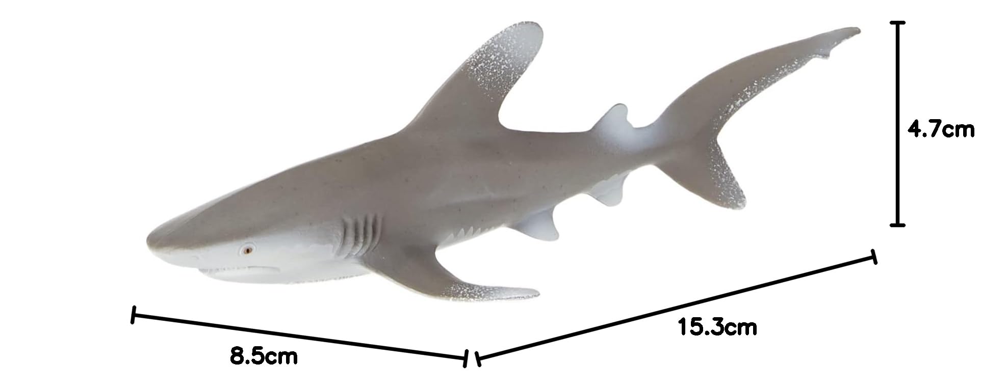 Oceanic Whitetip Shark