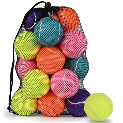 INSUM 20 Pack Bulk Tennis Balls – High Elasticity Practice Tennis Balls with Mesh Bags, Portable for Pet Dog Outdoor Playing, Training, Fetching