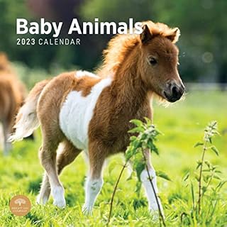 2023 Baby Animals Monthly Wall Calendar by Bright Day, 12 x 12 Inch, Cute Furry Critters