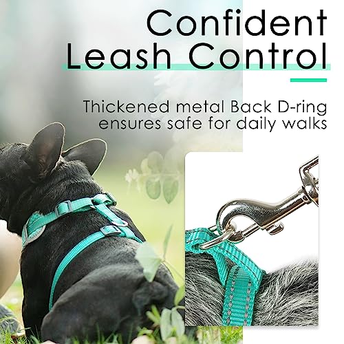 ThinkPet No-Pull Hundegeschirr Leine Set, Atmungsaktiv Brustgeschirr für Kleine Mittlere Große Hunde, Einstellbar Weich Laufgeschirre Sicher Kontrolle Gepolstert Reflektierendes Sicherheitsgeschirr