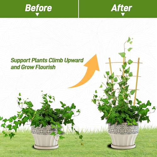 image for Avalution 10 Pack Bamboo Trellis for Climbing Plants 16