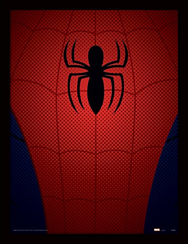 Spider-Man Torso Tableau Souvenir Marvel pour Déco Chambre