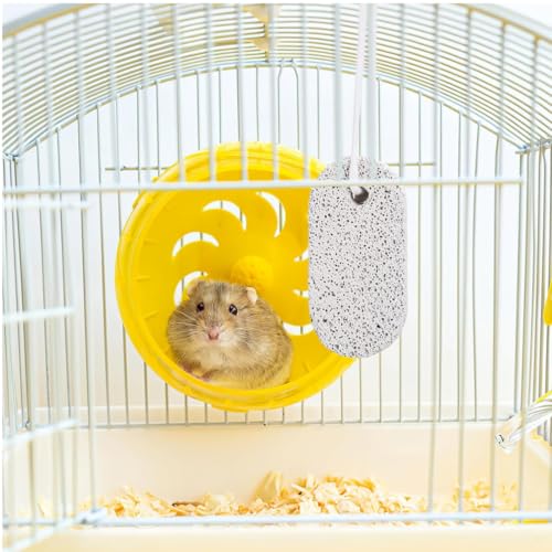 2 Stück Haustier Zähne Schleifstein Mineral 9x4.5cm Molaren Stein für Kaninchen Eichhörnchen Hamster und andere kleine Haustiere