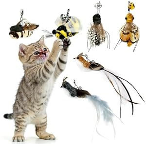 6 Pieces Cat Feather Toys Replacement Bird Insect Cat Toy Wand Refills Cats Toy Replacement Natural Bird Feathers for Cats Toys