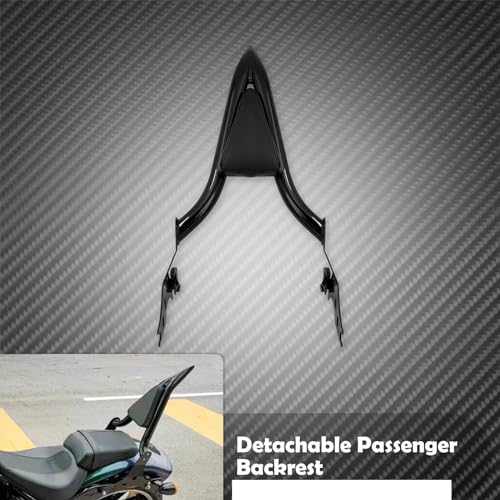Appui-dos passager arrière de moto finition chrome Softail FXSE - 2