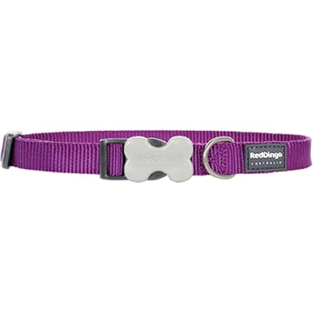 dingo dog collar