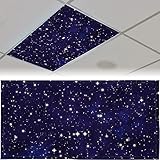 Patelai 4 x 2 Feet Fluorescent Light Cover for Fabric Ceiling Classroom Magnetic Cubicle Shade with 10 Magnets Fluorescent Light Filters for School Home Office Drop Lamp Decor(Starry)