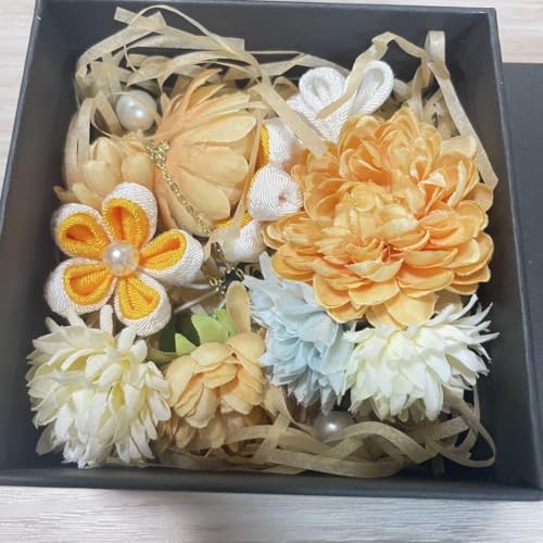 ������ �w�A�A�N�Z�T���[ �� �a�� ���l�� ������ ���w�� ���Ǝ� �I�����W