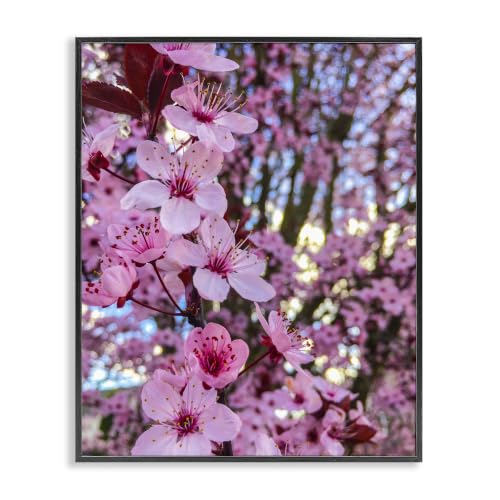 Cherry Blossom Floral Photography, 16 x 20 Inch Framed Giclée Print