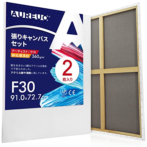 AUREUO 張りキャンバス セット F30  中目 綿化繊混紡 2枚 初心者 絵画用具 芸術絵創作 現代油絵 美術装飾 水彩画 油絵画 アクリル兼用