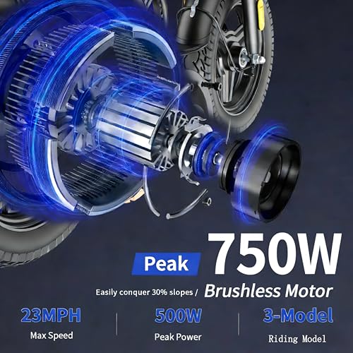 Folding Electric Bike for Adults, Peak 750W Motor,23MPH Max