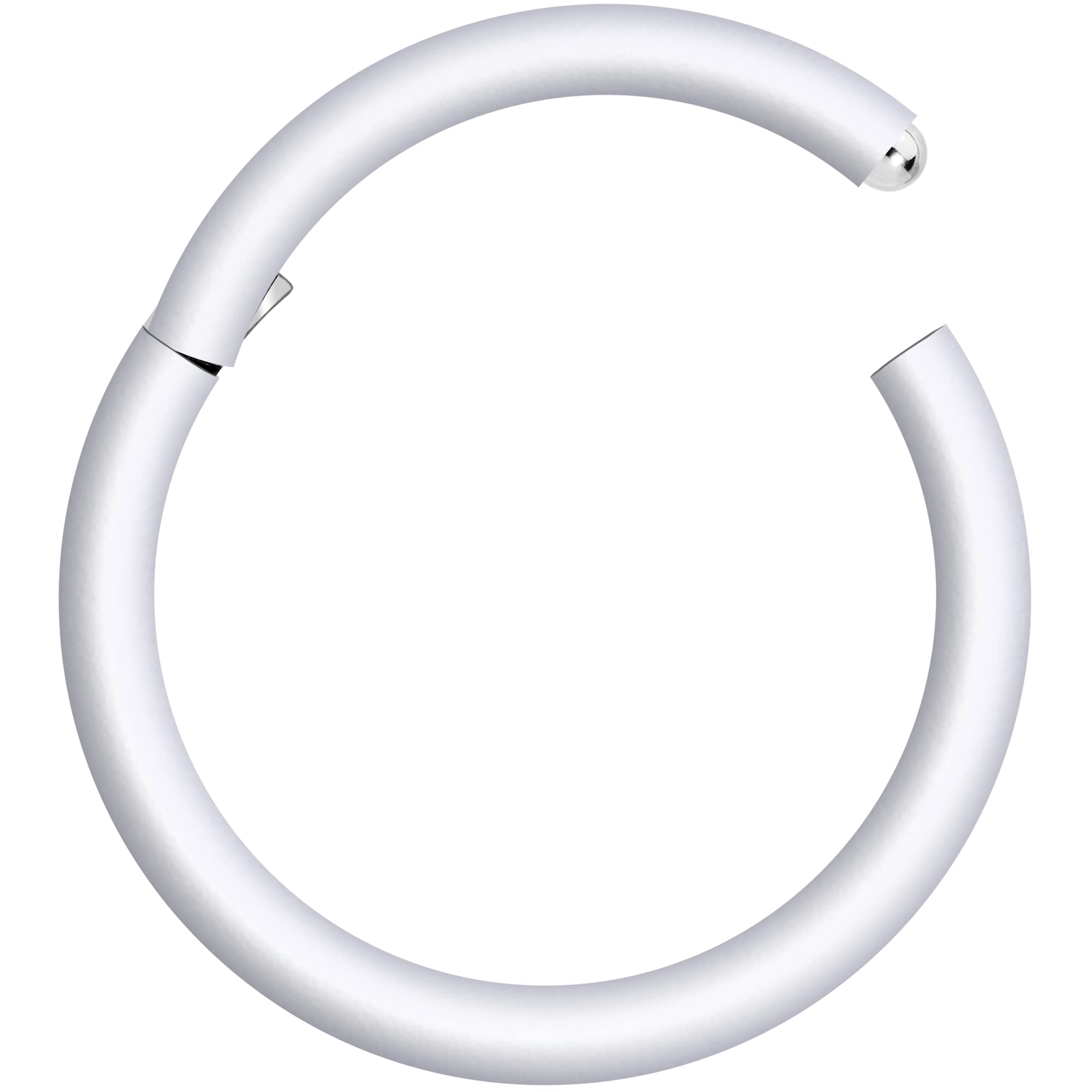 Body Candy Segment Hoop Rings 18 Gauge 316l Surgical Steel Lip Ring Cartilage