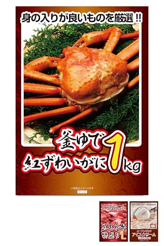 ii 3_ Zbg gYCKj јa 1kg ACXN[ ژ^ pl YN VN  񎟉 rS St Ry