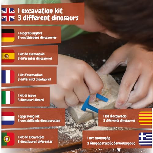 Science4you Dinosaur Fossil Excavation 3 in 1 - Fossil Digging Kit for Kids: T-Rex & Triceratops & Stegosaurus, 3 Dinosaurs Toys for Kids, 37 Pieces, Toys, Games, Gifts for 6+ Year Old Boys and Girls - Image 3