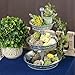 Hallops 3 Tier Serving Tray - Galvanized, Rustic Metal Stand. Dessert, Cupcake, Fruit & Party Three Tiered Platter. Country Farmhouse Vintage Decor for The Kitchen, Home, Farm & Outdoor