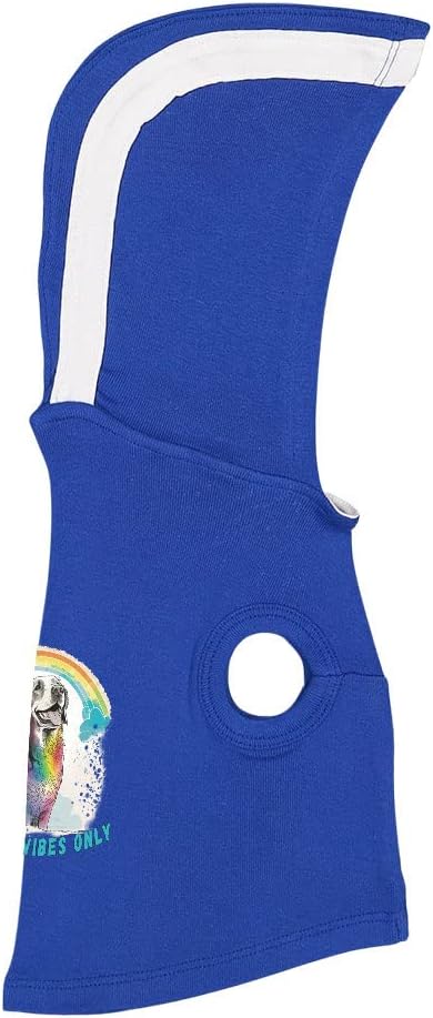 Rainbow Vibes Dog Shirt with Hoodie - Trendy Dog Hoodie - Cute Dog Clothing - Black White, 2XL