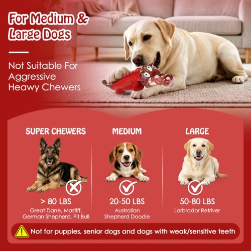 Image of Jeefome Dog Toys for Aggressive Chewers