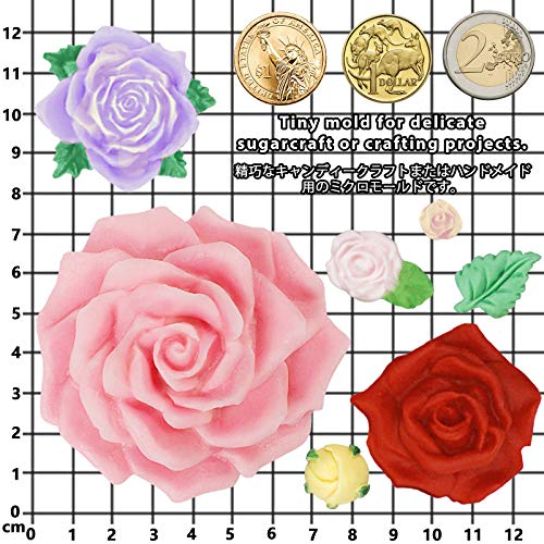 Funshowcase Large Roses And Flower Bud Fondant Candy Silicone Mold For Cake Decor, Cupcake Topper, Chocolate, Epoxy Resin Jewelry Casting, Homemade Soap, Candle Making, 7 Cavity Sizes 13X8.6X2.3Cm #TOP4