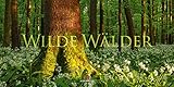 panorama kalender hochformat  Wilde Wälder Kalender 2024, Wandkalender / Panoramakalender im Querformat (66x33 cm) - Landschaftskalender / Naturkalender
