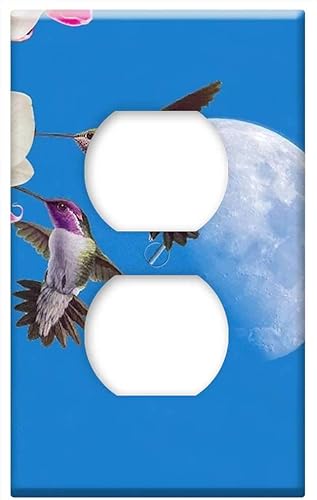 Tapa de salida de placa - Colibríes Orquidea Flores Orquidea Colorido