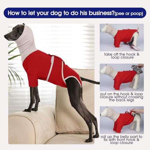 Image of FUAMEY Spay Suit for Female Dog, Neuter Cone Alternatives to Prevent Licking, Pet Surgery Recovery Suit, Turtleneck Onesie for Surgery Male Body Suit for Dogs After Surgery, Shih Tzu (Red, S)