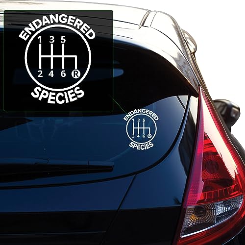 Image of Yoonek Graphics Endangered Species Vinyl Decal Transfer Tape Designed for Applications on car Windows, laptops, and Various Surfaces. No Background. F0448White5 x 4.2 inch