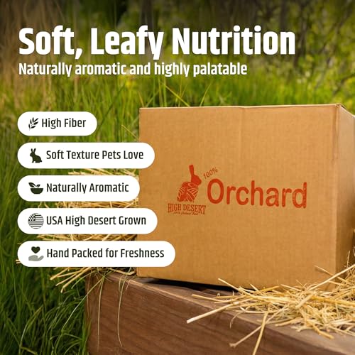 High Desert Orchard Grass Hay, Natural Orchard Hay for Rabbits Guinea Pigs Hamsters and Chinchillas, Soft Leaf Texture for Grazing and Foraging, Small Pet Supplies, Fresh Hand Packed Hay Box, 4 Lb - Image 3