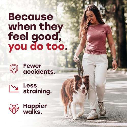 Image of Urinary Tract Supplement for Dogs - Cranberry & Bladder Support