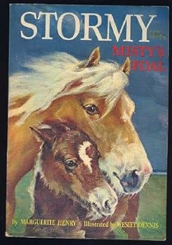 Stormy, Misty's Foal